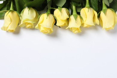 Beautiful yellow roses on white background, top view. Space for text