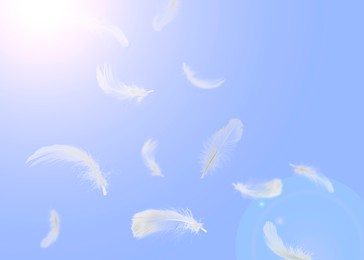 Image of Fluffy bird feathers falling on violet background