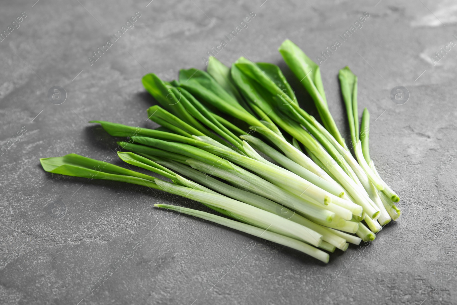 Photo of Fresh wild garlic or ramson on grey table, closeup