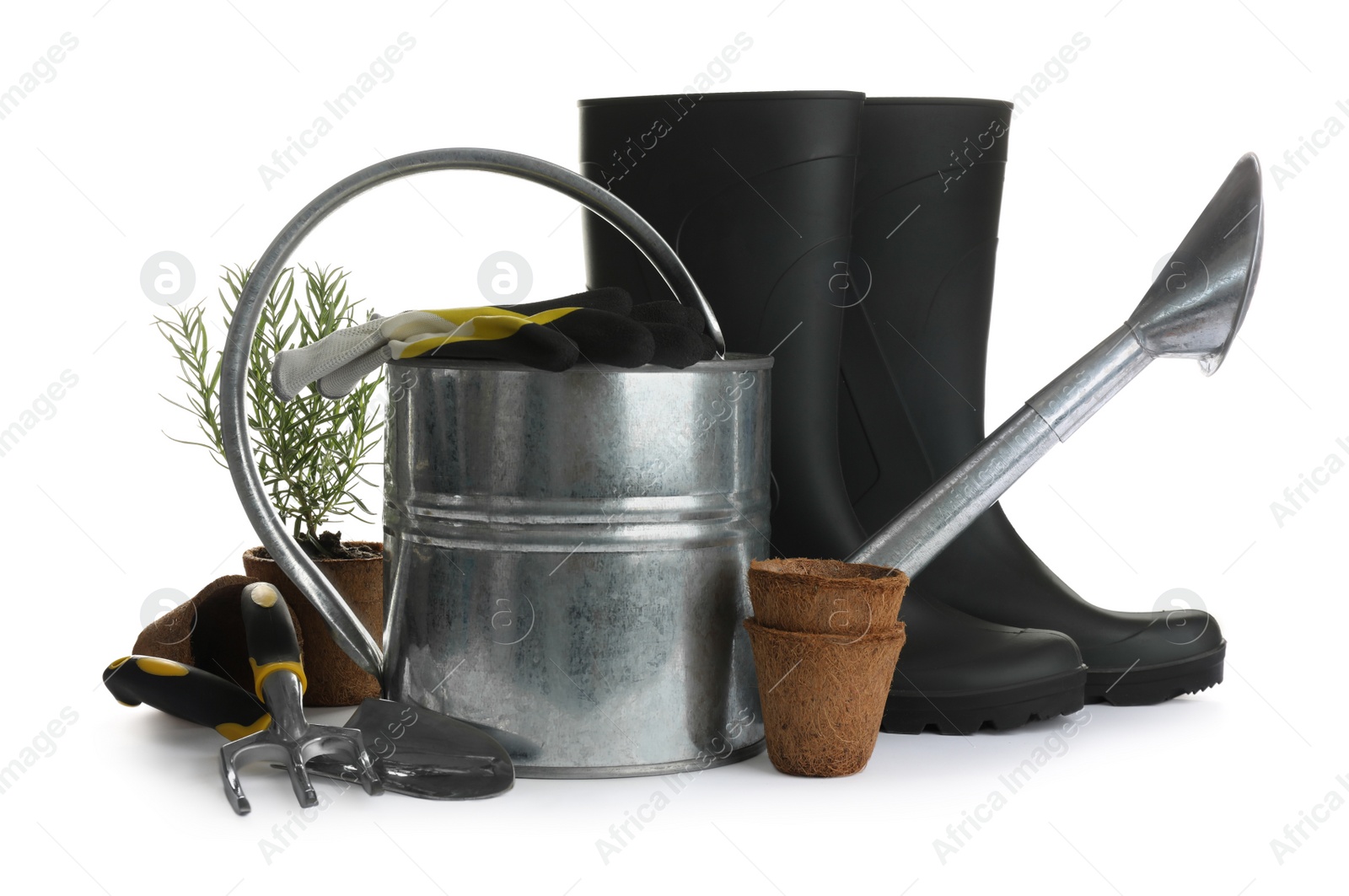 Photo of Different modern gardening tools on white background