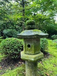 Stone lantern, bright moss and different plants in Japanese garden