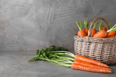 Photo of Basket with fresh carrots on grey background. Space for text