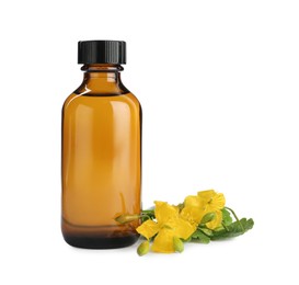 Photo of Bottle of celandine tincture and plant on white background