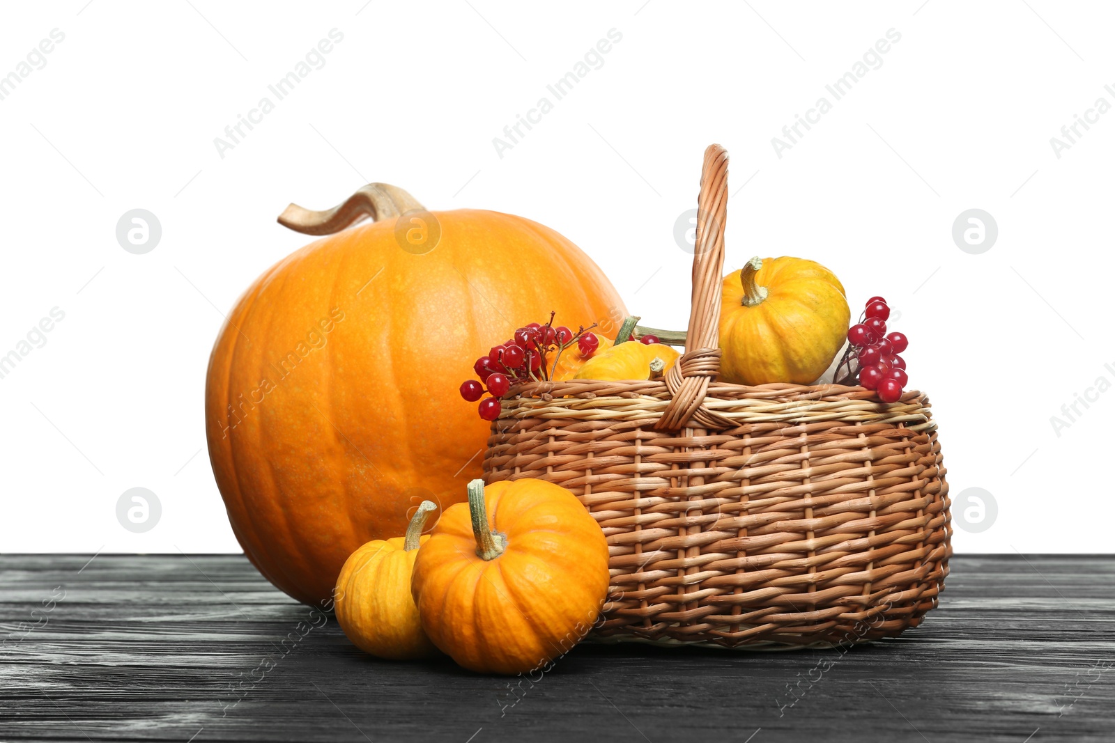 Photo of Happy Thanksgiving day. Composition with pumpkins and berries on black wooden table against white background