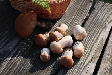 Fresh porcino mushrooms on wooden table outdoors