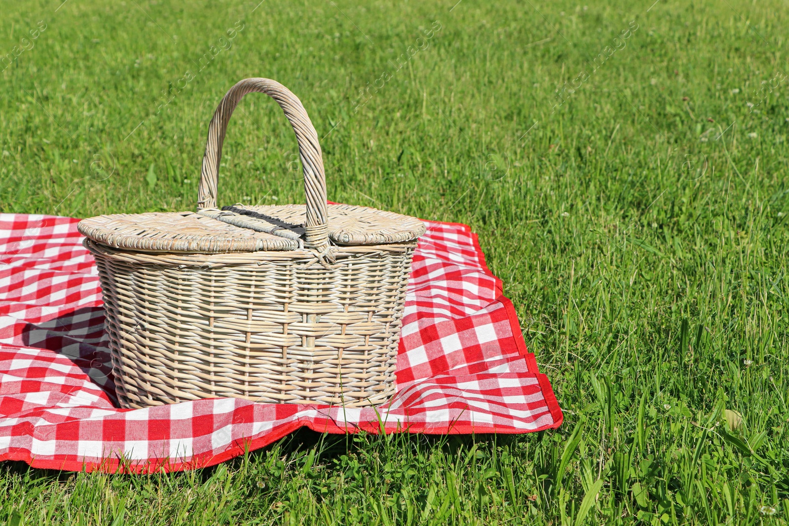 Photo of Picnic basket with checkered tablecloth on green grass outdoors, space for text