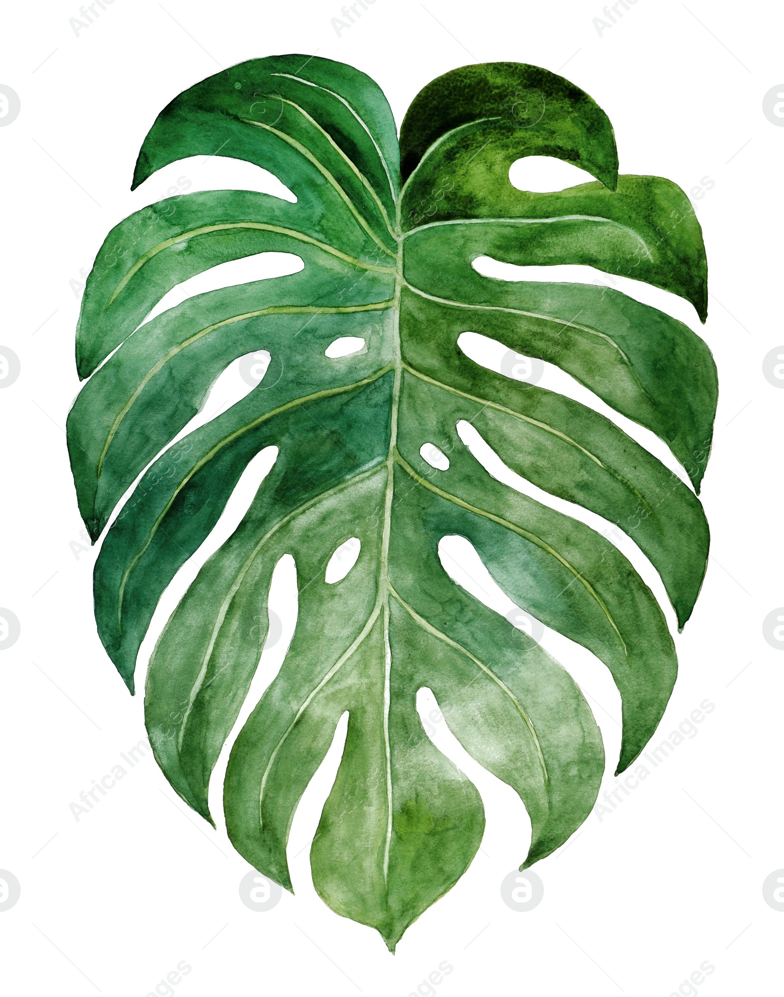 Photo of Beautiful watercolor tropical leaf painted on white paper, top view