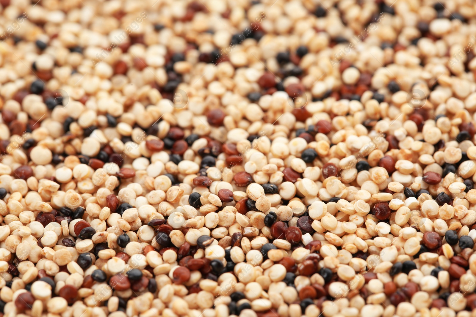 Photo of Raw mixed quinoa seeds as background, closeup