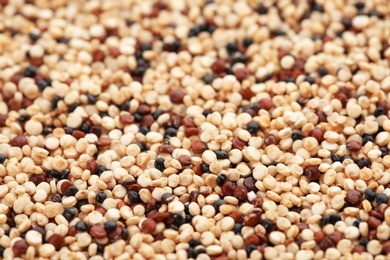 Raw mixed quinoa seeds as background, closeup