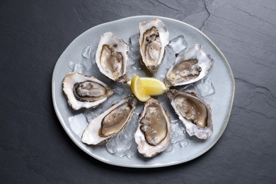 Photo of Delicious fresh oysters with lemon slices served on black slate table, top view