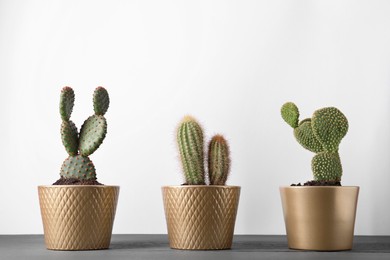 Photo of Different cacti in pots on gray wooden table