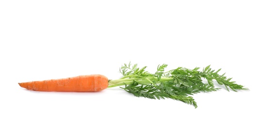 Photo of Fresh ripe carrot on white background. Wholesome vegetable