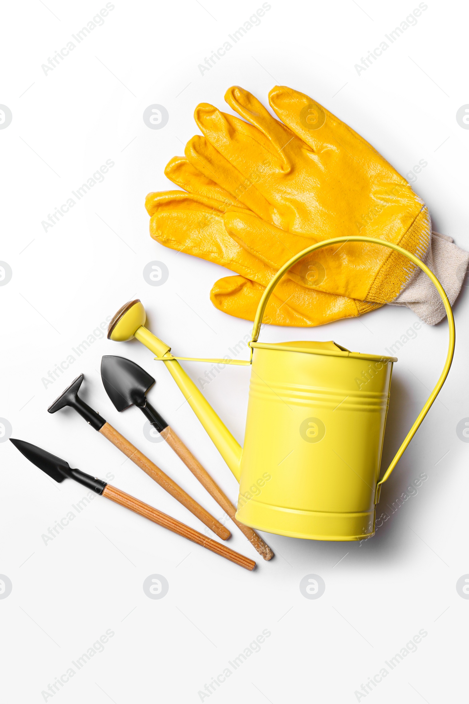 Photo of Watering can, gardening tools and gloves on white background, flat lay