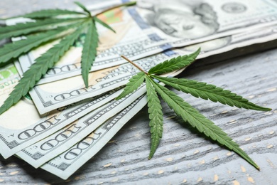 Photo of Hemp leaves and dollars on wooden background, closeup