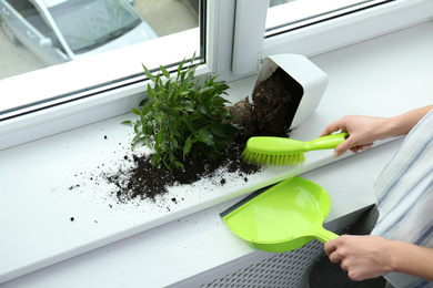 Woman cleaning window sill from soil at home, closeup