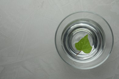 Photo of Glass bowl with water and green leaf on grey table, top view. Space for text