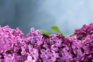 Photo of Beautiful blooming lilac flowers on light blue background, closeup. Space for text