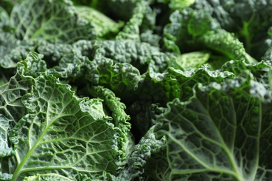 Fresh green savoy cabbages as background, closeup