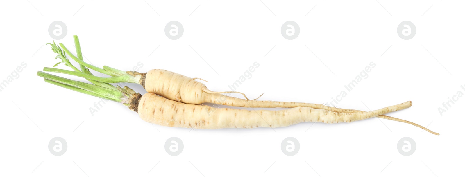 Photo of Tasty fresh ripe parsnips on white background, top view