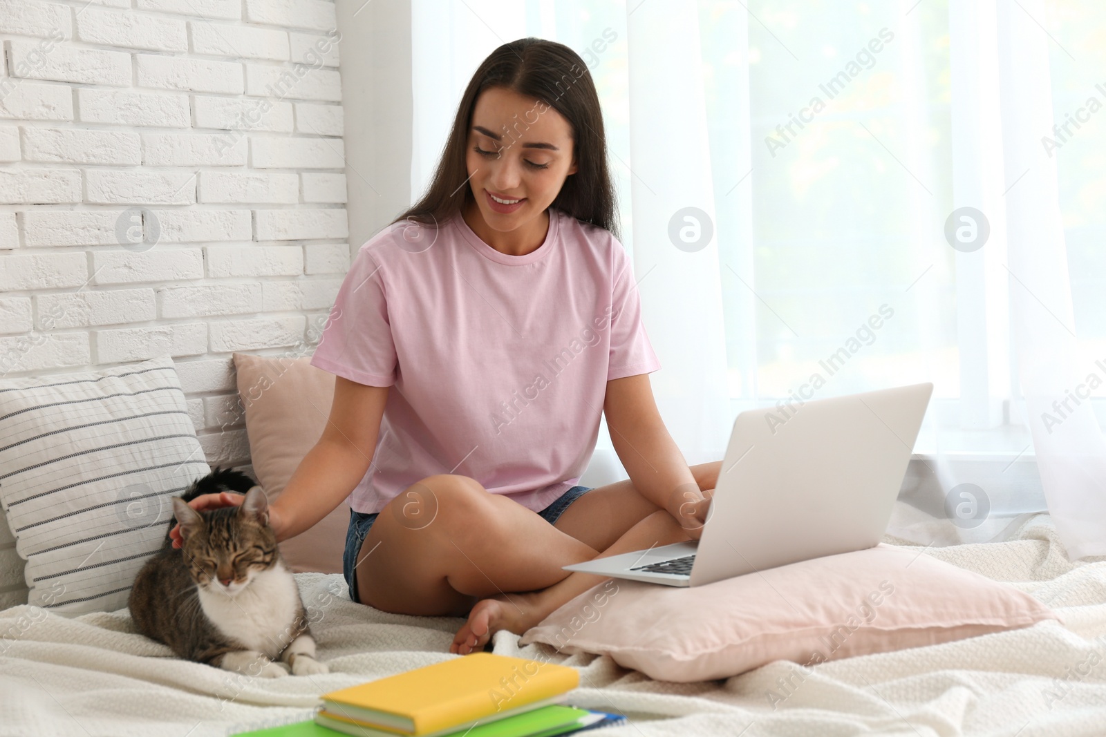 Photo of Young woman with cat working on laptop near window. Home office concept