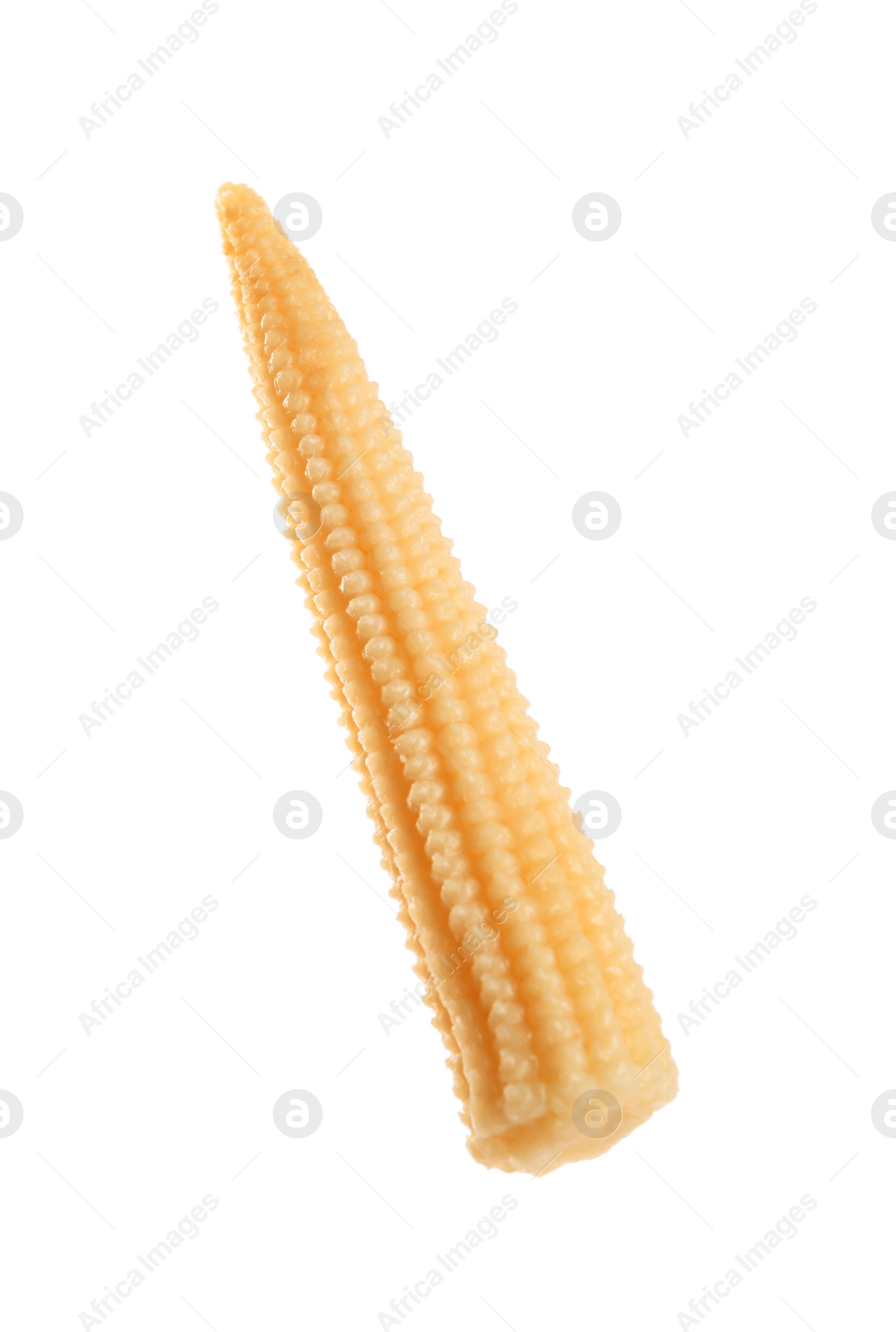 Photo of Fresh baby corn cob isolated on white