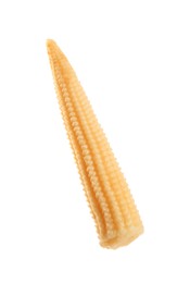 Fresh baby corn cob isolated on white