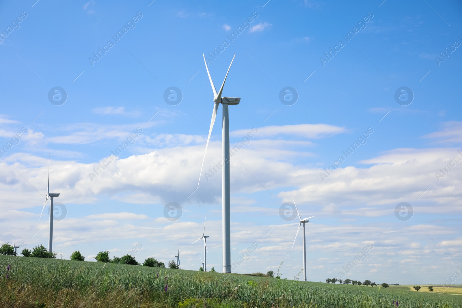 Photo of Beautiful view of field with wind turbines. Alternative energy source