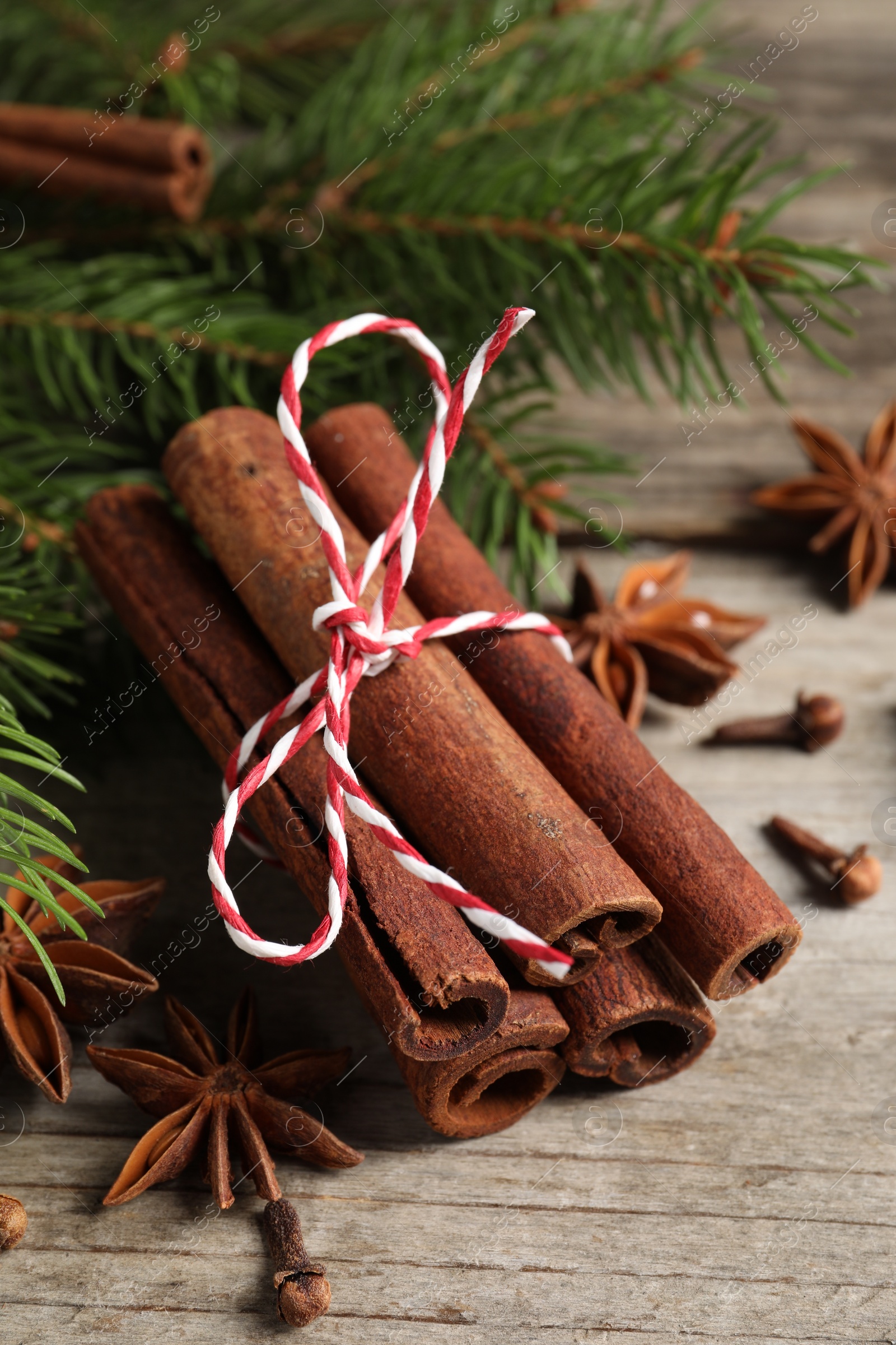 Photo of Different spices and fir branches on wooden table, closeup