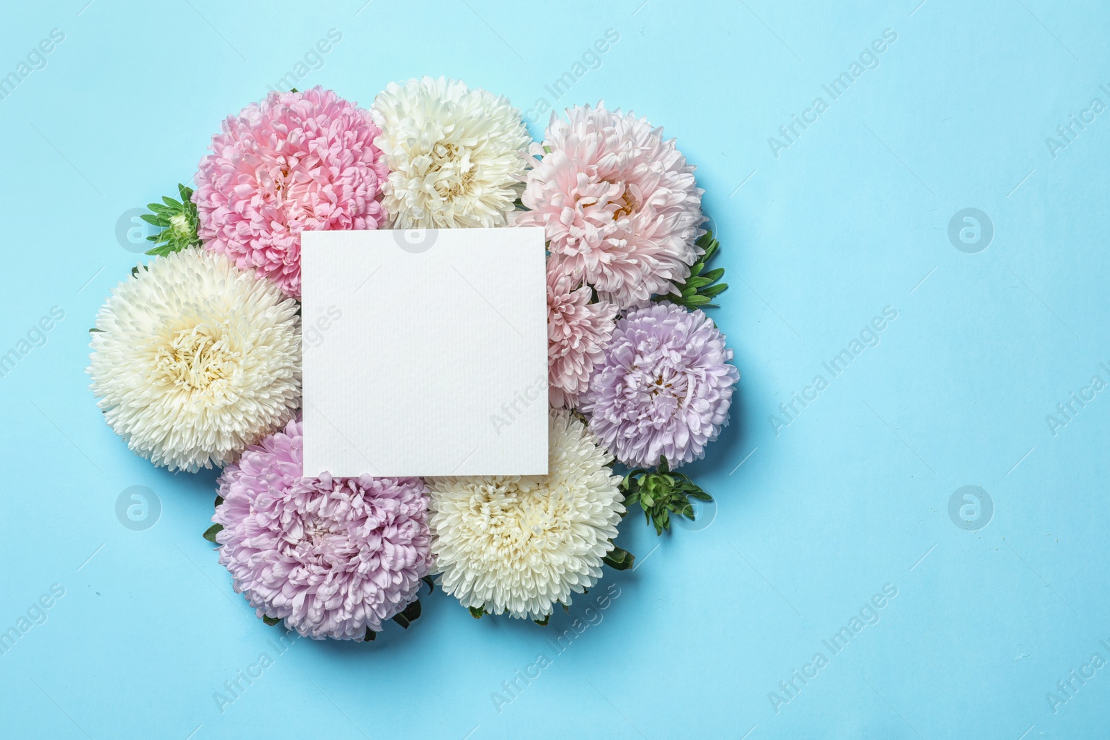 Photo of Beautiful aster flowers with sheet of paper on color background, top view. Space for text