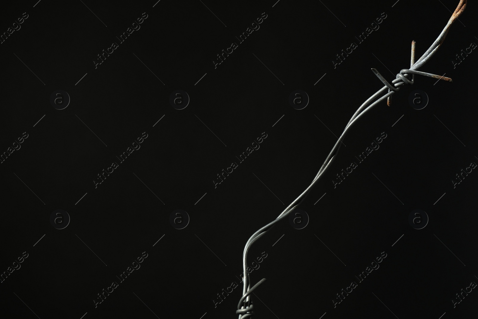 Photo of Metal barbed wire on black background. Space for text