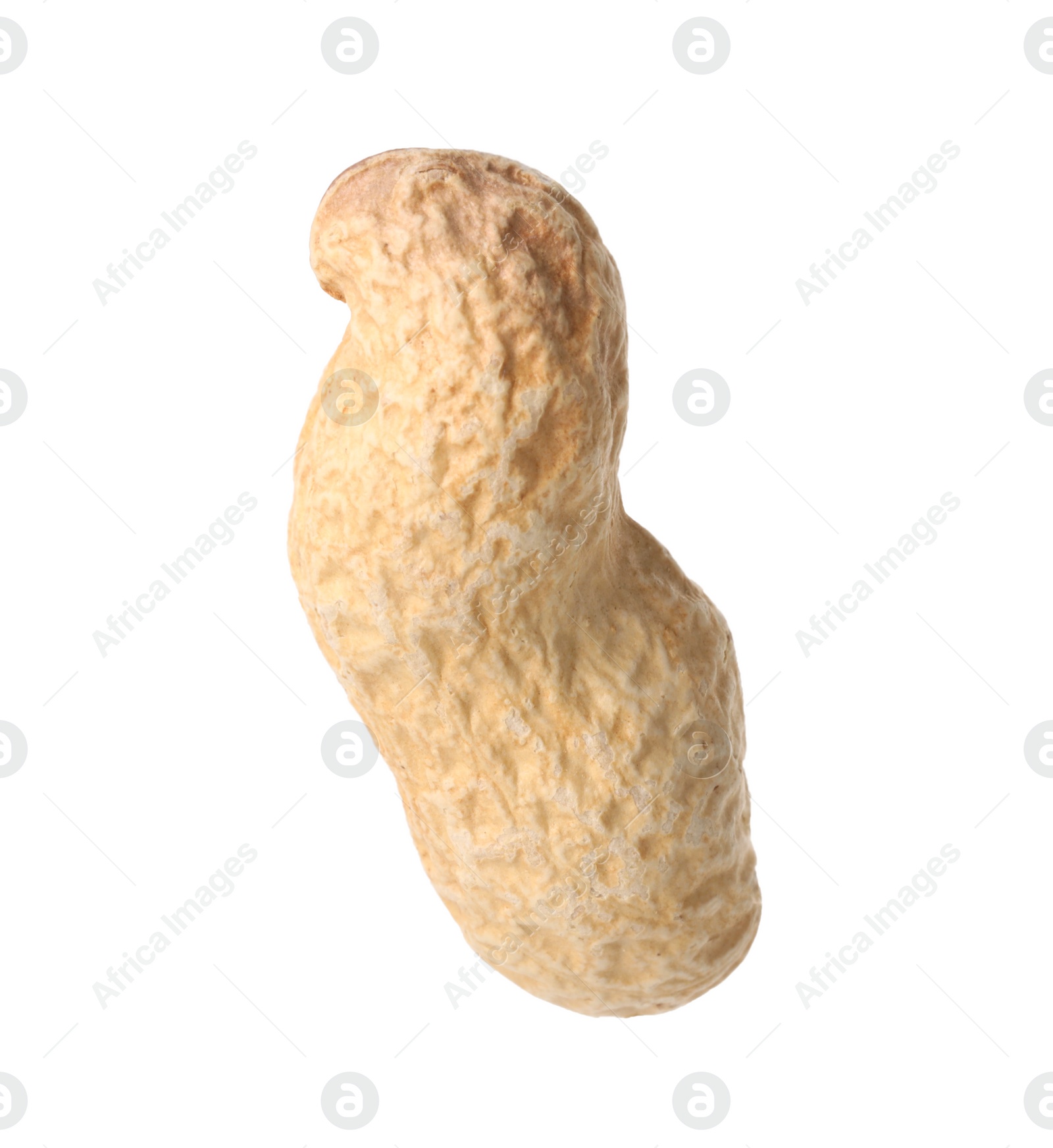 Photo of One fresh unpeeled peanut isolated on white