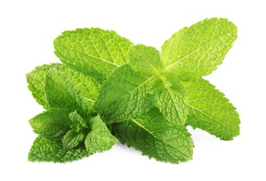 Fresh green mint leaves isolated on white