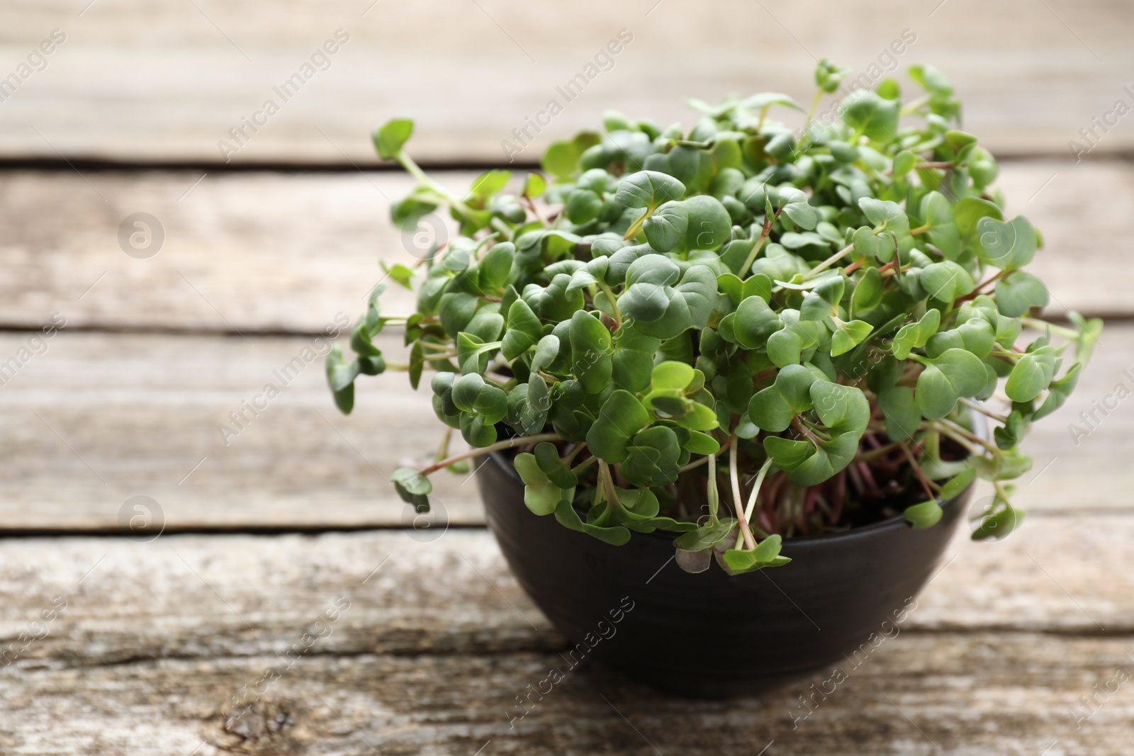 Photo of Fresh radish microgreens in bowl on wooden table