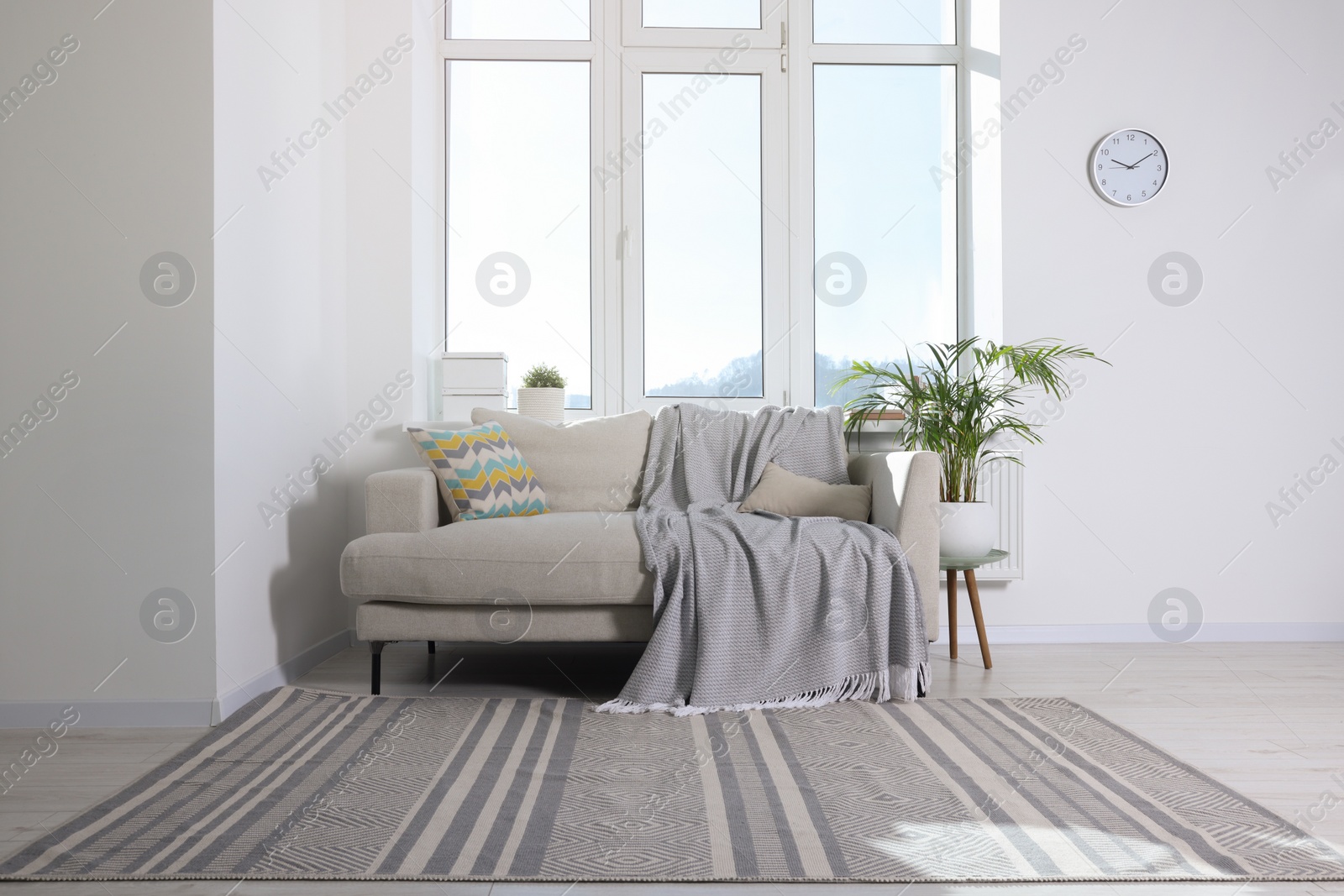 Photo of Cosy living room with sofa and potted plant. Interior design