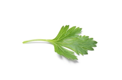 Fresh green organic parsley on white background