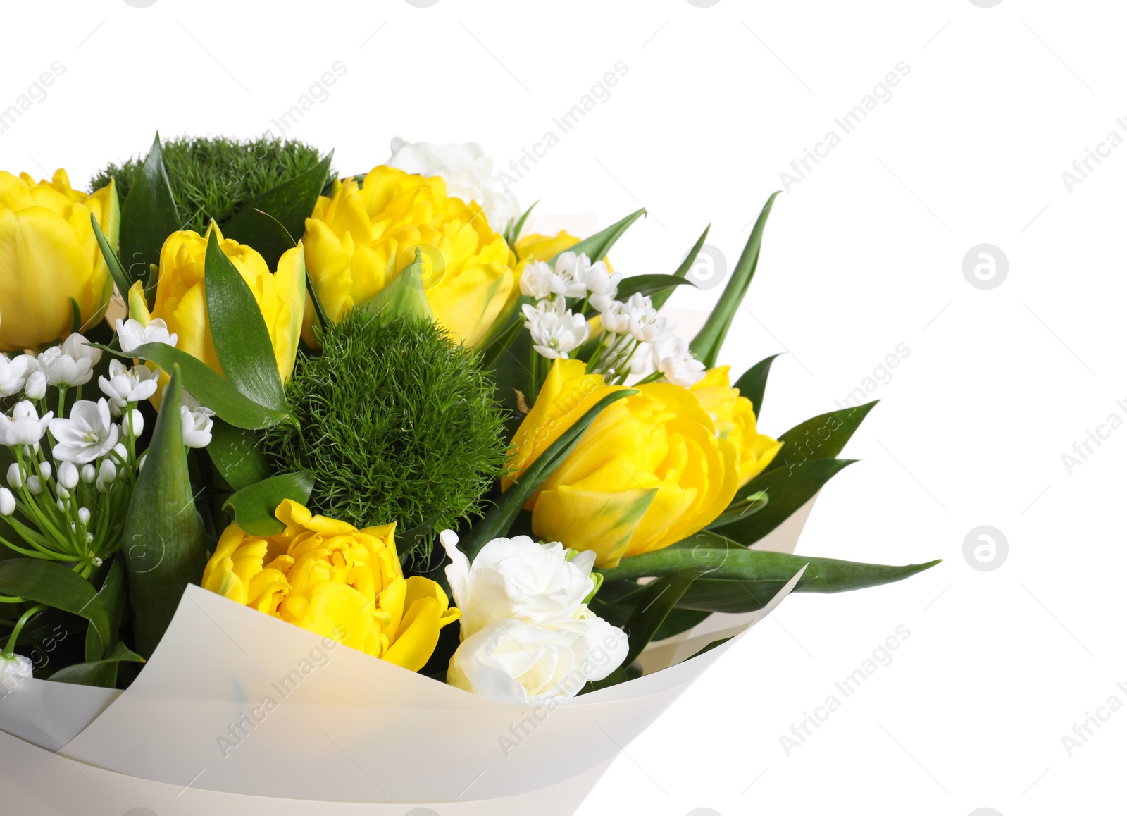 Photo of Beautiful bouquet with peony tulips on white background, closeup