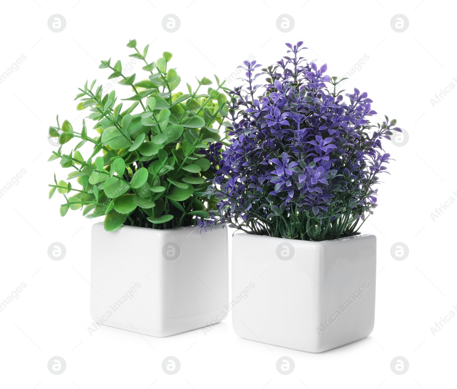 Photo of Beautiful artificial plants in flower pots isolated on white