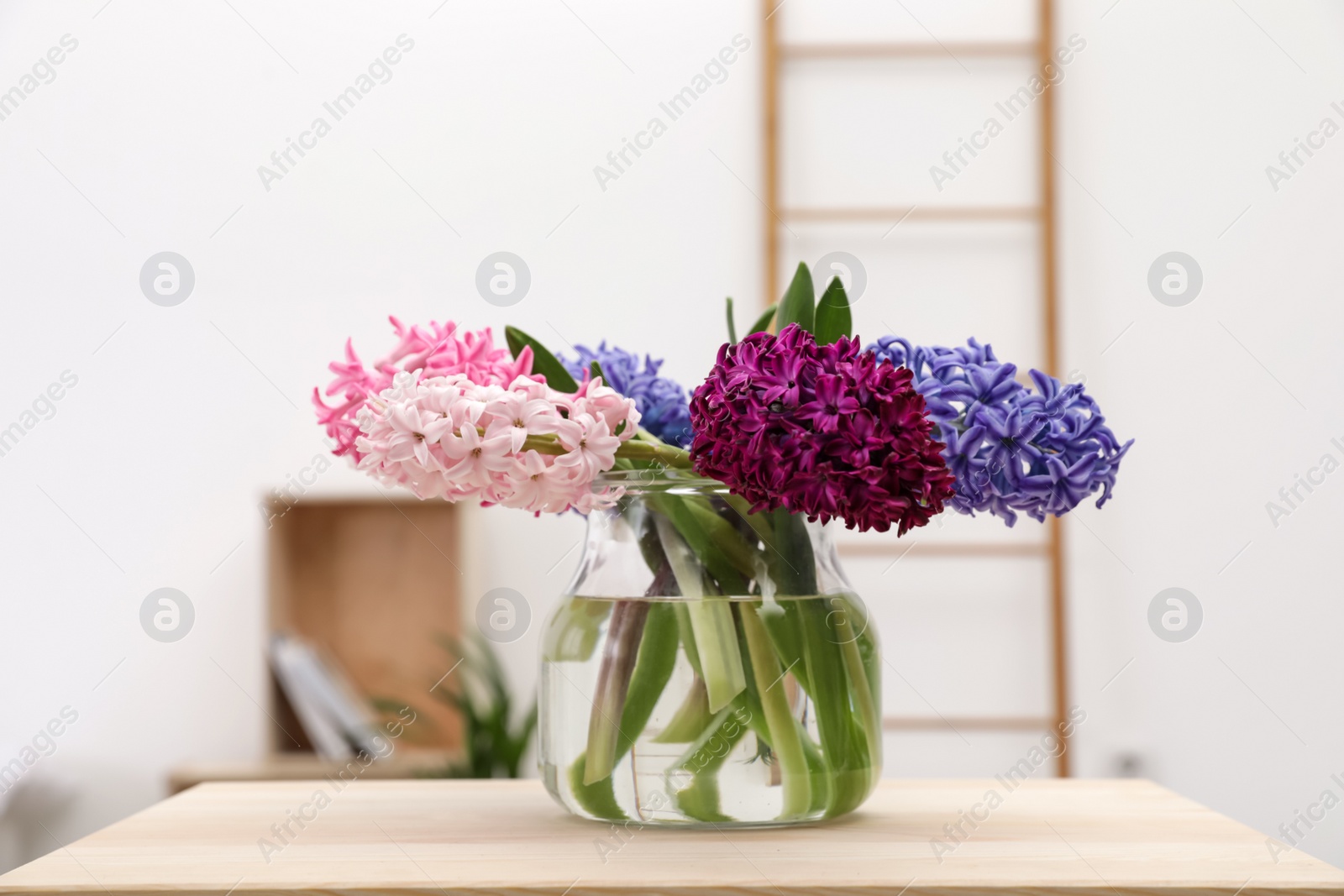 Photo of Beautiful hyacinths in glass vase on table indoors. Spring flowers