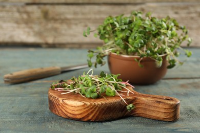 Board with cut fresh radish microgreens on light blue wooden table