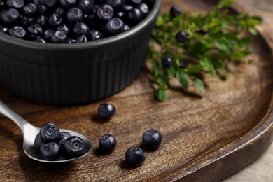 Photo of Ripe bilberries in bowl and sprigs on table, closeup