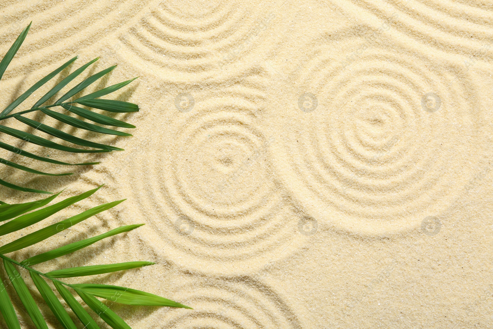 Photo of Zen rock garden. Circle patterns and green leaves on beige sand, top view