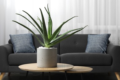 Beautiful potted aloe vera plant on table in room, space for text