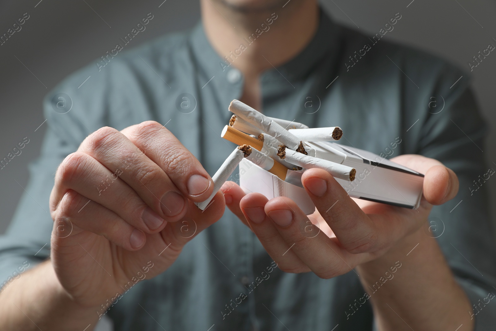 Photo of Stop smoking. Man holding pack with broken cigarettes on grey background, closeup