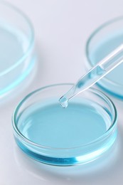 Photo of Dripping liquid from pipette into petri dish at white table, closeup. Laboratory analysis