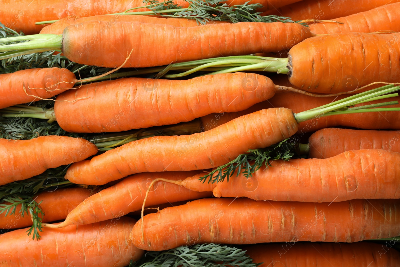 Photo of Many tasty fresh carrots as background, closeup