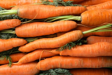 Photo of Many tasty fresh carrots as background, closeup