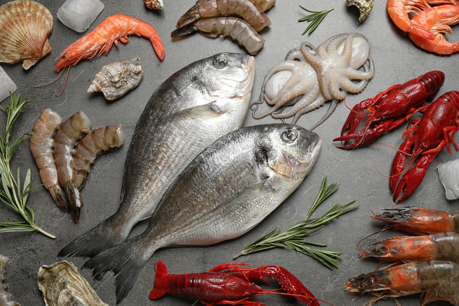 Photo of Fresh fish and seafood on grey table, flat lay