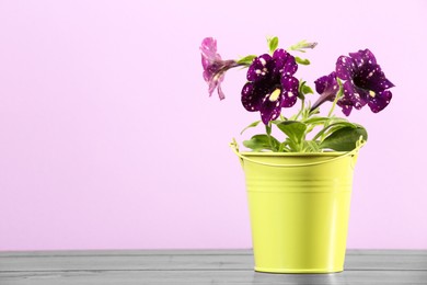 Beautiful petunia flowers in green pot on wooden table against violet background. Space for text