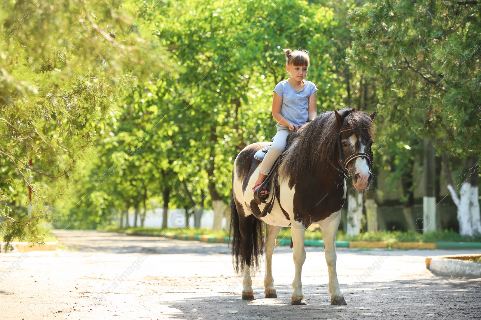 Photo of Cute little girl riding pony in green park