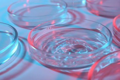 Photo of Pouring liquid sample into petri dish on light blue background, closeup
